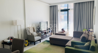 ASHTONISHING SPECIOUS ONE BR FULLY FURNISHED